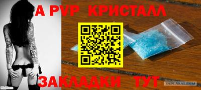 прущие грибы Заводоуковск