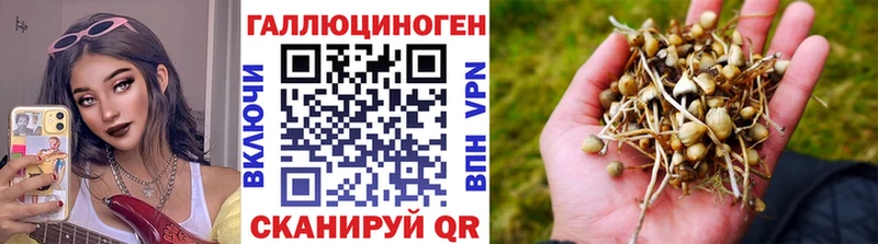 Псилоцибиновые грибы Cubensis  Электросталь 